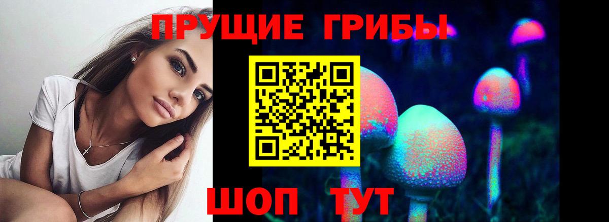 Псилоцибиновые грибы GOLDEN TEACHER Крымск